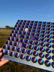 Bead Tray for 20mm Beads
